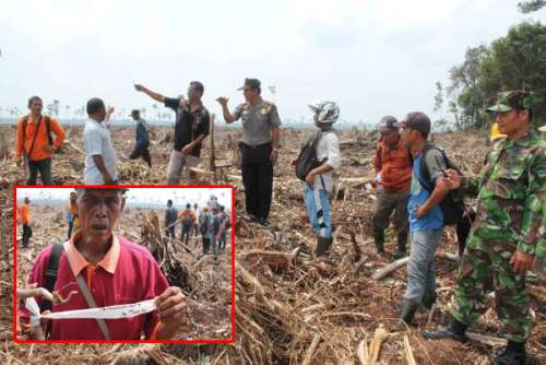 Pemetaan Partisipatif Bermasalah, RAPP Babat Hutan Teluk Belitung