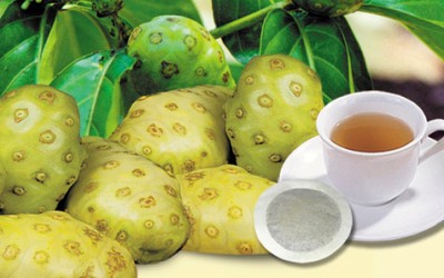 Buah Mengkudu Herbal Alami Bunuh Kanker