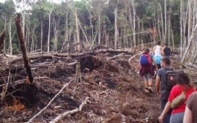 Mentan Meminta Pemda Menjaga Alih Fungsi Lahan