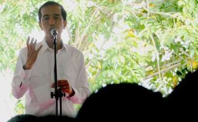 Jokowi Tolak Perppu Calon Tunggal Peserta Pilkada