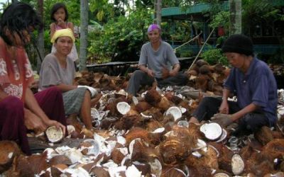 Opini: SRG dan Komoditas Petani Kelapa di Inhil