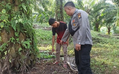 Sadis! Pria di Bengkulu Selatan Bakar Hidup-hidup Seorang Remaja