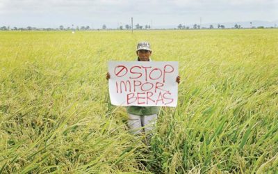 Indonesia Mau Ekspor Beras ke China Hingga 1.000 Ton