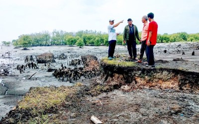 Abrasi dan Air Asin Ancam Warga Mentayan Bantan