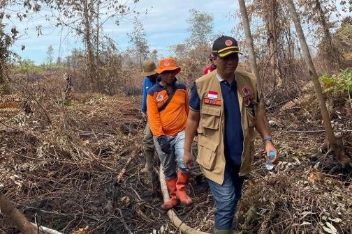 Selama Tahun 2023 131 Hektare Lahan di Riau Terbakar