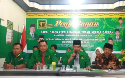 PPP Inhil Buka Penjaringan Balon Kepala Daerah-Wakil