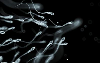 36 Anak Lahir dari Pendonor Sperma Sakit Jiwa