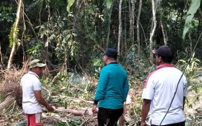 Pemkab Rohil Akan Bangun Hutan Kota di Jalan Lintas Batu 6