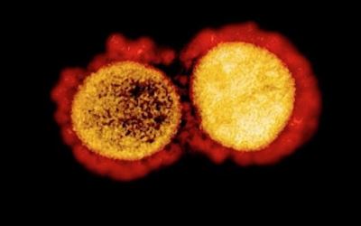 Tiga Santri Positif Corona, 2 Desa Dikarantina