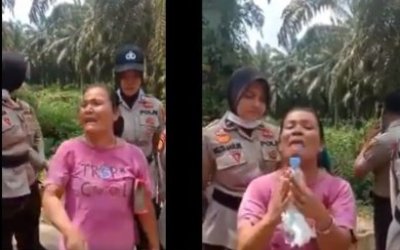 Gubri : Lahan Sawit Rp 18 Ribu Permeter Sudah Untung 