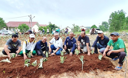 Warga Riau Kompleks Kelola Lahan Tidur Jadi KRPL