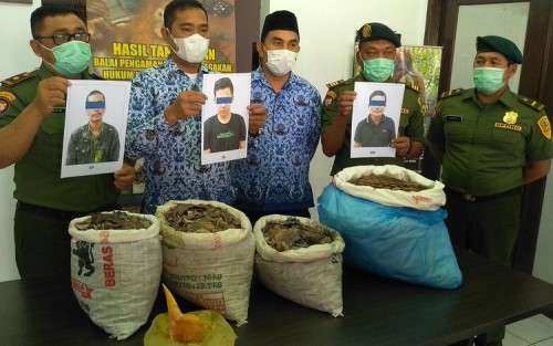 3 Pria Penjual Sisik Trenggiling dan Paruh Rangkong Ditangkap