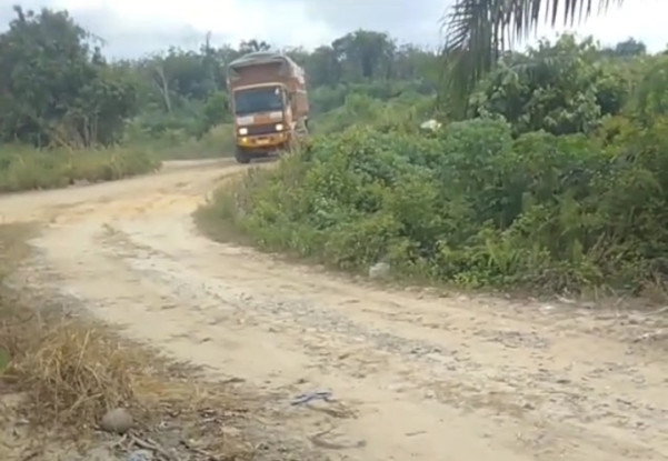Galian C PT AKM di Rohil Diduga dalam Kawasan Hutan Produksi Konversi PHR