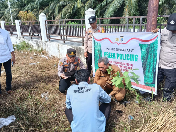 Dukung Program Kapolda Riau, Polsek Sungai Apit Tanam Pohon di Perkantoran