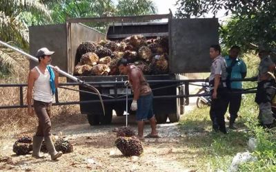 Lahan Dikuasai PT SPS, Warga Kecewa Janji Azis Zainal