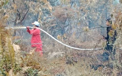 DLHK Riau Lakukan Pembasahan Lahan Bekas Kebakaran di Bengkalis