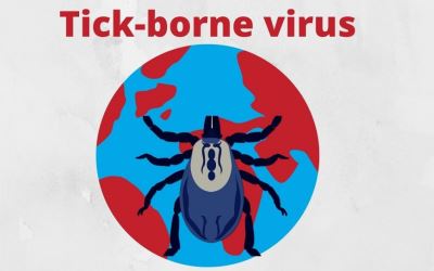 'Tick-Borne', Virus di China di Masa Pandemi Corona