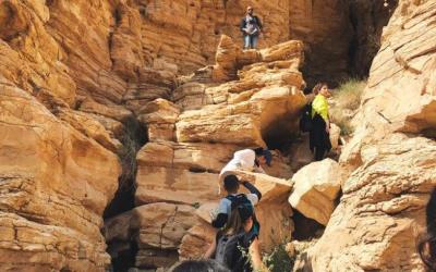 Wisatawan Domestik Meningkat, Wisata Saudi Mulai Pulih