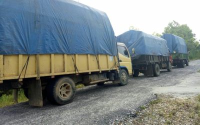 Polda Riau Tangkap 3 Truk Kayu di Kampar