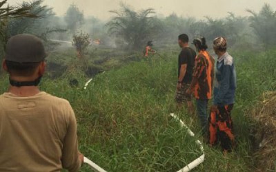 Anggota DPRD Riau Ikut Pamdamkan Karhutla di Pelalawan
