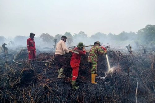 4 Hektare Lahan Gambut Rimbo Panjang Kampar Terbakar