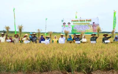Kabupaten Bengkalis Butuh Beras 56.031 Ton Setiap Tahun