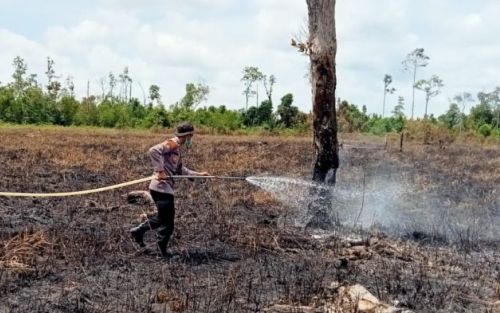 Riau-Sumut-Jambi Diprediksi Akan Kemarau Mulai Februari