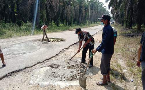 Perusahaan Perkebunan Sawit Berperan Rusak Jalan di Tapung