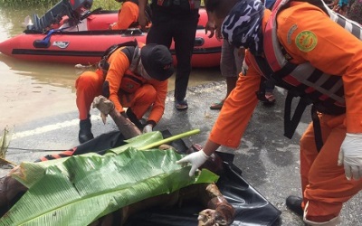 Dua Mayat Ditemukan Mengapung di Sungai Kampar