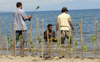 Hari Mangrove : Restorasi Tanggung Jawab Semua