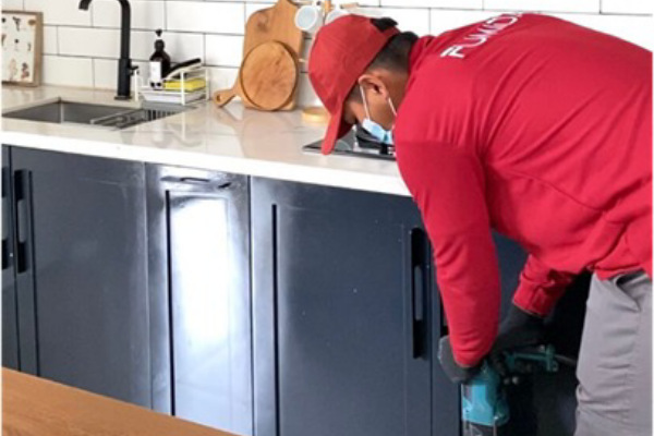 Edukasi Lingkungan: Dampak Rayap Terhadap Ekosistem