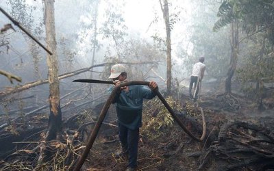 Anggota DPR Asal Riau Ajak Wiranto Tinggal di Riau