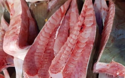 Cara Bersihkan hingga Filet Ikan Pari, Buang Tulangnya