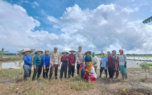 Sambangi Petani di Sawah, Ini Pesan Polsek Bungaraya Menjelang Pemilu 2024