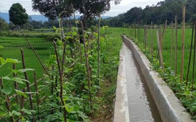 Musim Tanam, Petani Simpang Tiga Siap Pasang Beronjong