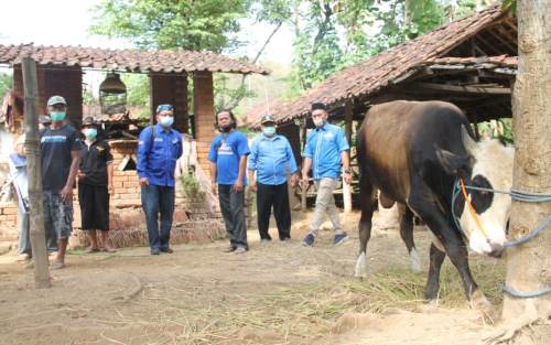 Sartono Hutomo Berbagi Hewan Qurban di Dapil VII Jatim