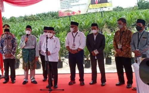 Pemerintah Akan Bangun 5 Pabrik Minyak Makan Merah di Riau