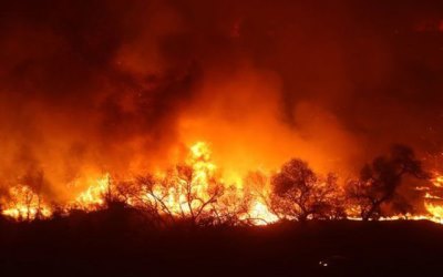 Kebakaran Hutan California, Kebakaran Hutan Terbesar