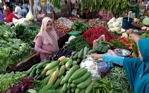 Ironis, Harga Sayur Mayur Semakin Mahal Tidak Tahu Penyebabnya