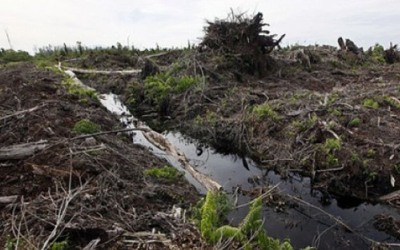 Riau Diprediksi Kemarau 7 Bulan, Awas Karhutla