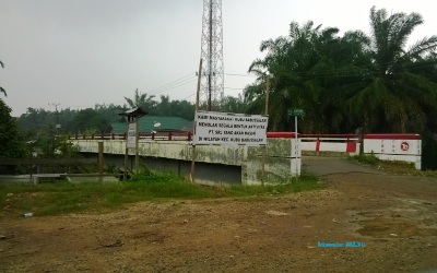 Cegah Konflik, Pemerintah Harus Cabut Izin HTI 'Jadul' di Riau