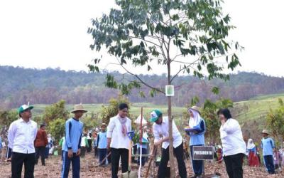 Indonesia di Ambang Rekor Dunia Menanam Pohon Serentak