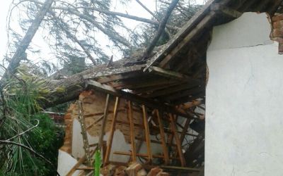 Pohon Pinus Tumbang Timpa Rumah Kadiran
