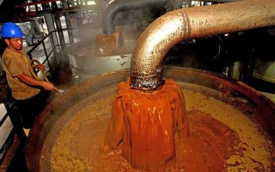 Priode Juli, Harga CPO Terus Anjlok