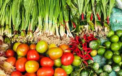 Makanan Organik Lebih Sehat untuk Dikonsumsi