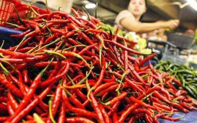 Pertumbuhan Ekonomi Riau Hanya 0,22 Persen