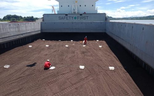 RI Bidik Ekspor Produk Biomassa Cangkang Sawit ke Jepang