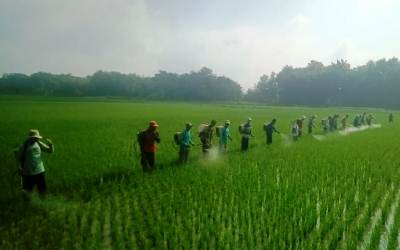 Program Pertanian Organik di Ponorogo Diapresiasi Petani