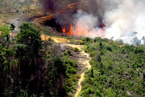 Asap di Riau Akibat Kebakaran Kebun