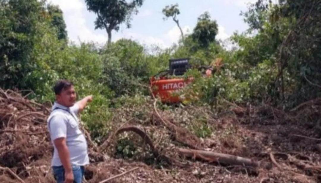 5 Pembakar Lahan di Rohil Ditangkap, 2 Alat Berat Disita